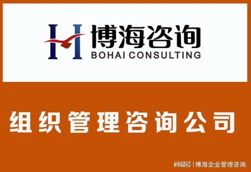 蘇州組織結構優(yōu)化咨詢公司